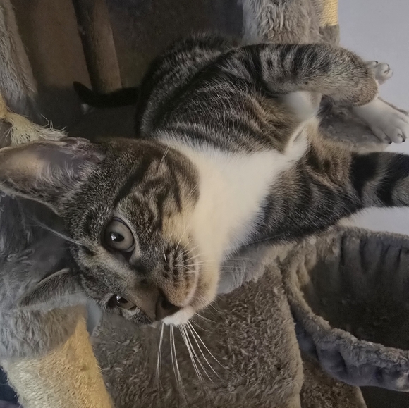 Meet your Posher - Picture 4 of 7